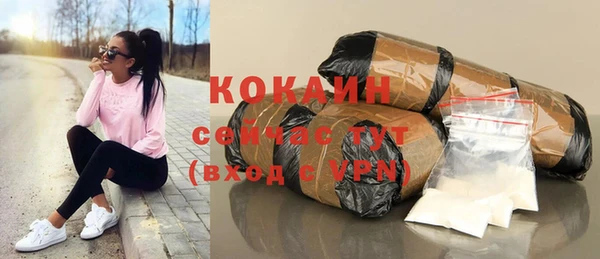 прущие грибы Надым