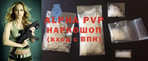 прущие грибы Надым