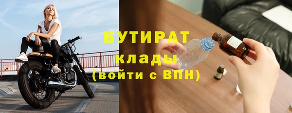 прущие грибы Надым
