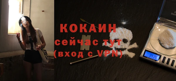 прущие грибы Надым