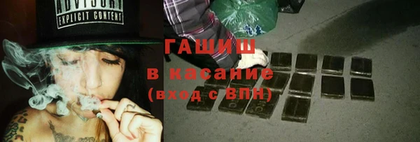 прущие грибы Надым