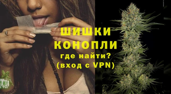 прущие грибы Надым