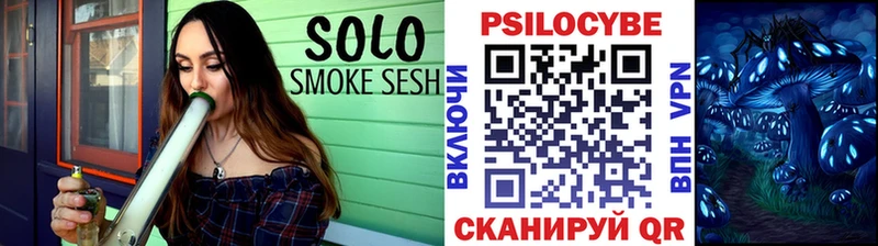 Псилоцибиновые грибы Psilocybe Покачи